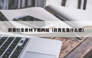 深圳寂寞行走素材下载网站（寂寞走是什么歌）